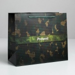 Пакет бумажный "Present", 27*23*11,5см, 5187556