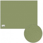Бумага для пастели Canson, 500*650мм, 160г/м2, светло-зеленый, 125720